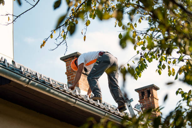 Best Roof Maintenance Services  in Washington Terrace, UT